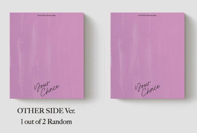 seventeen your choice album