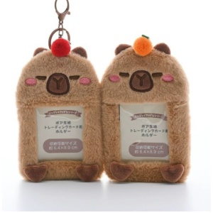 Capybara photocard holder