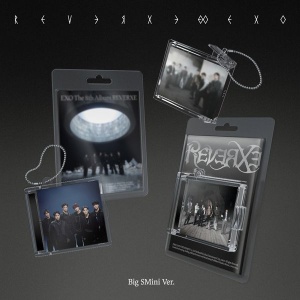 [Pre-Order] EXO Vol. 8 - REVERXE (Big SMini version)